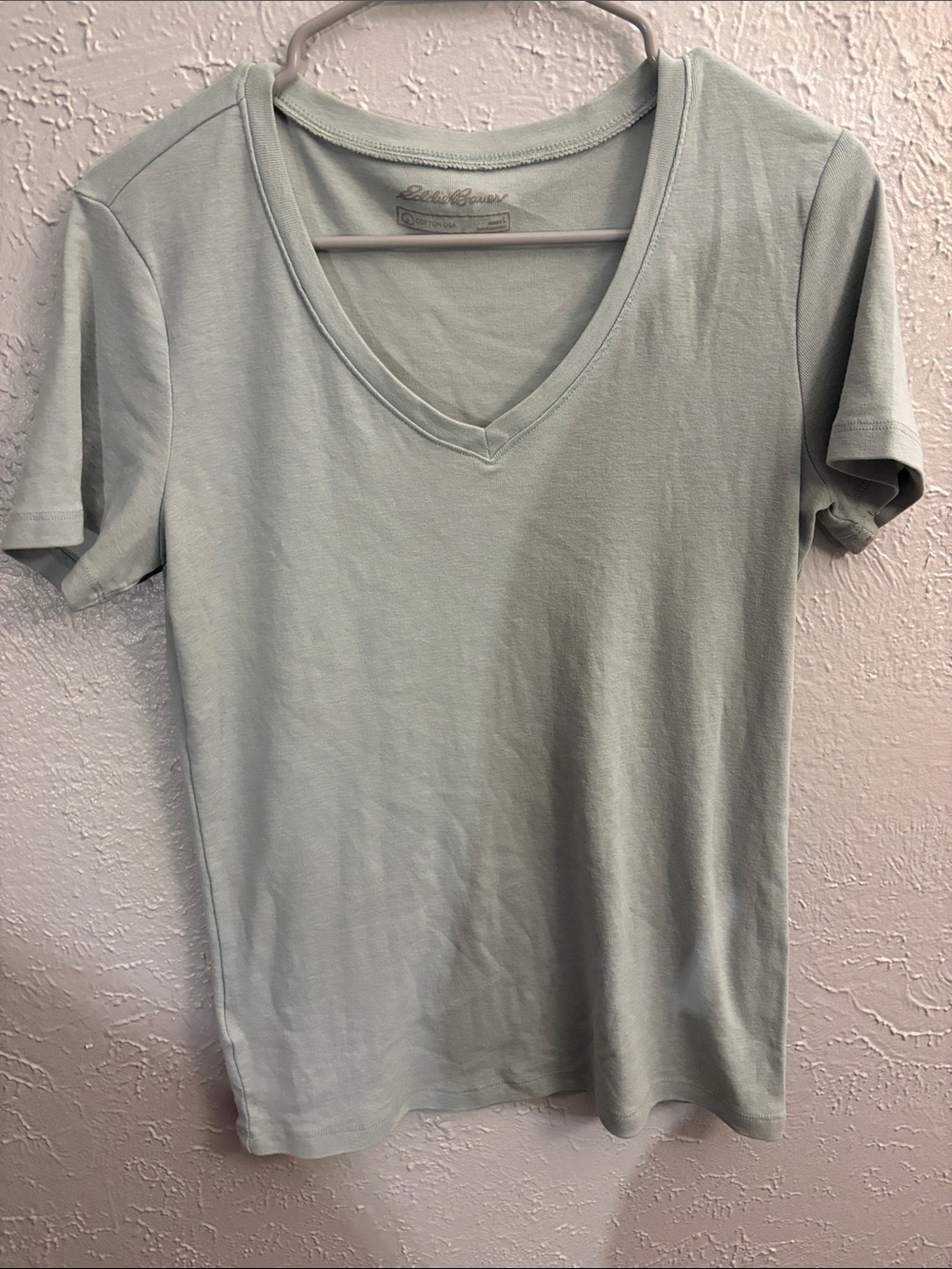 Eddie Bauer Women’s V-Neck Tee in Pale Sage